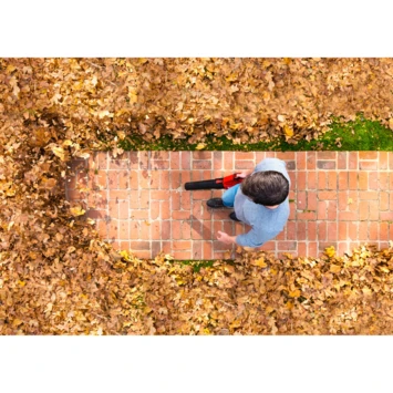 SKIL 40V Bladblazer 0380CA Brushless (zonder Accu) - Afbeelding 2