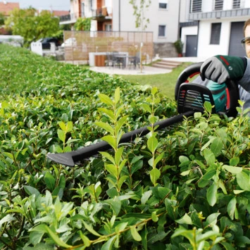 Bosch 18V Heggenschaar AHS 50-20 Li 50cm - Afbeelding 6