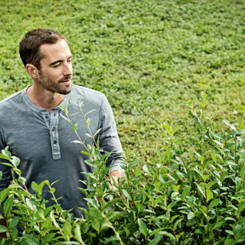 Bosch 18V Heggenschaar AHS 50-20 Li 50cm - Afbeelding 8